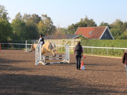 img_0096_web